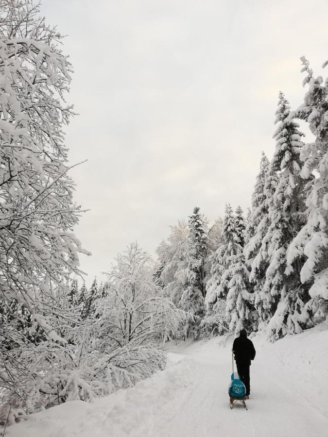 Domaine De Siane Villa Plaine Eksteriør bilde